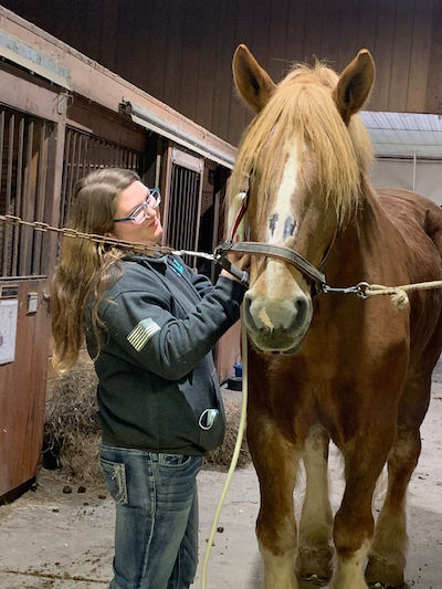 Erin Simard of  Simard’s Equine & K9 Therapy providing a treatment to a horse